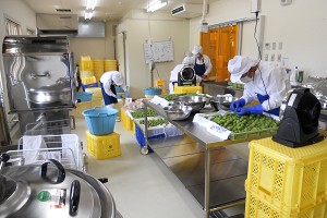 �~�W���[�X���H�̗l�q